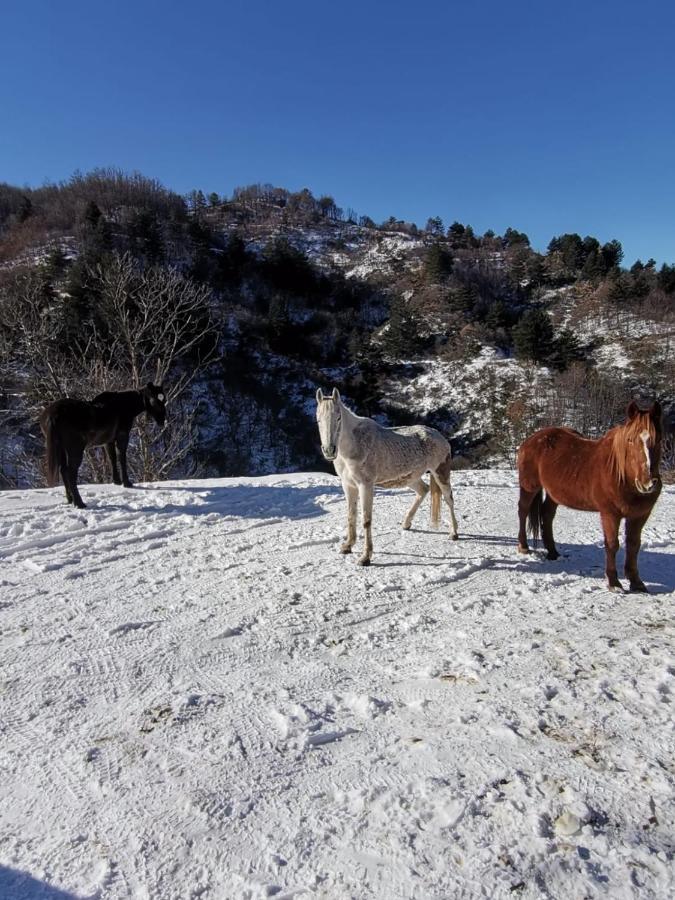 La Locanda Del Poeta Acri Exteriér fotografie