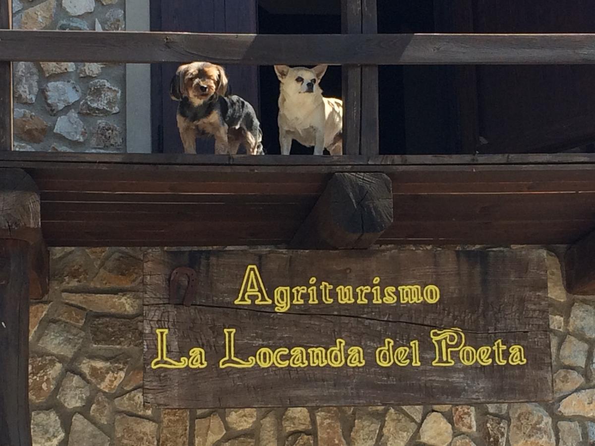 La Locanda Del Poeta Acri Exteriér fotografie